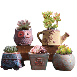 Pottery Pots Wholesale | Set Of 5